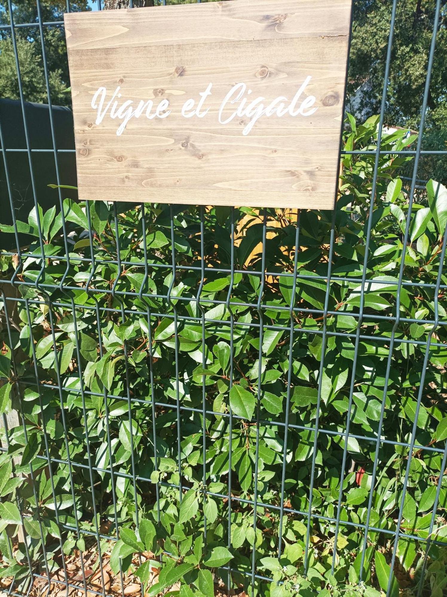 Apartamento Vigne Et Cigale Le Thoronet Exterior foto